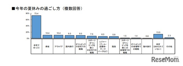 今年の夏休みの過ごし方（複数回答）