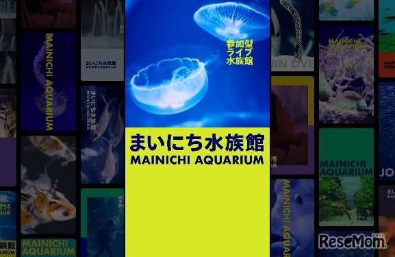 まいにち水族館