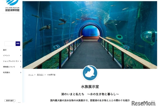 琵琶湖博物館水族展示トンネル水槽