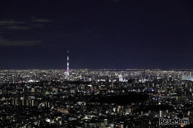 展望台からの夜景写真