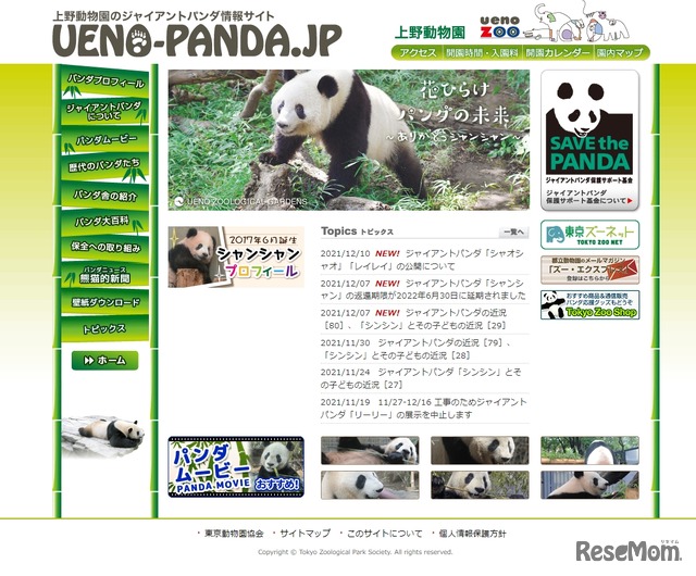 UENO-PANDA.JP