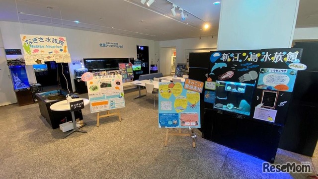 北里アクアリウムラボ10周年特別展「水族館で水族館展」