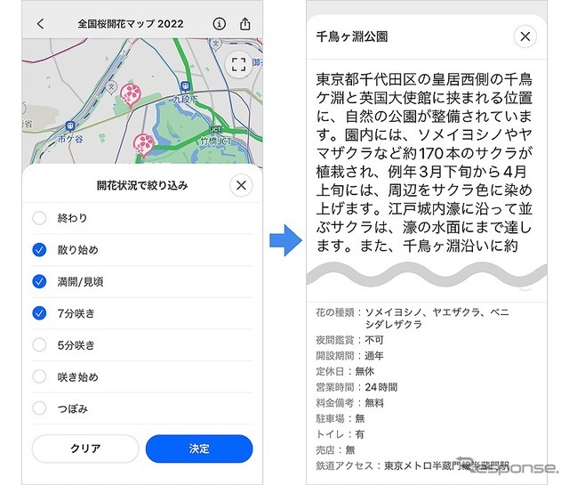 全国桜開花マップ 2022：開花状況で絞り込む方法