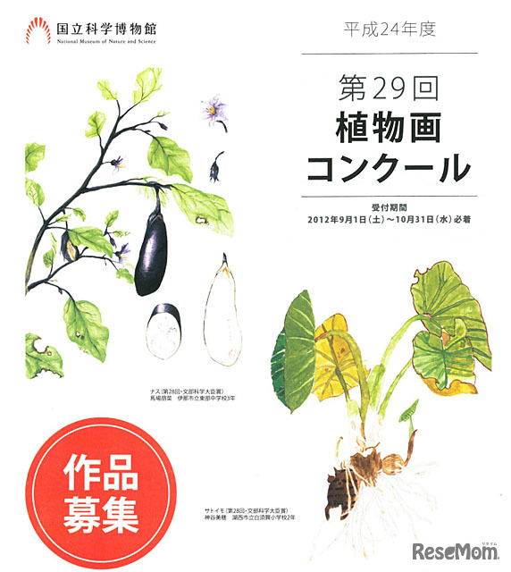 第29回植物画コンクール