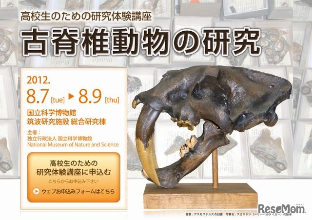 高校生のための研究体験講座「古脊椎動物の研究」