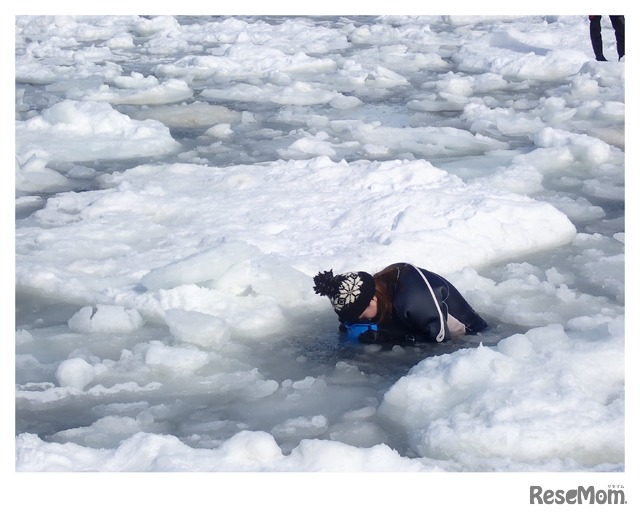 流氷が浮かぶ海中に入ったり、箱メガネで中をのぞいてクリオネを探す