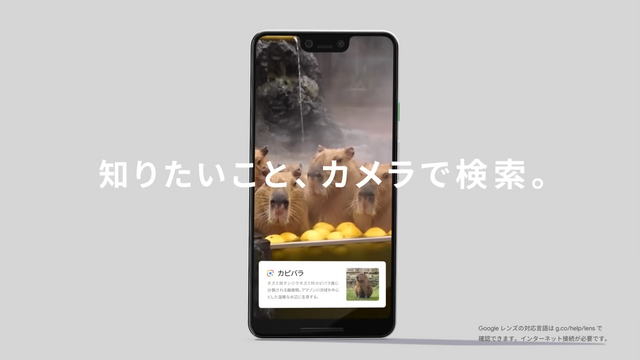 Googleレンズ、肌の状態を写真で「検索」可能に。表現が難しい症状も対応、医療機関への相談を推奨