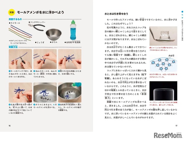 モールアメンボを水に浮かべよう