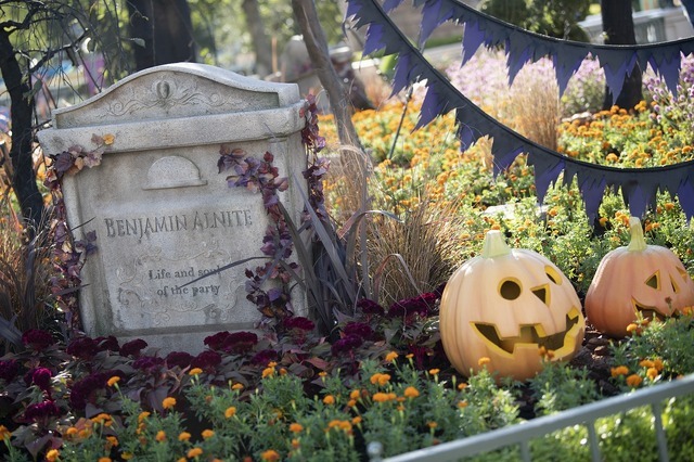 撮影スポットが盛りだくさん！！東京ディズニーランド「ディズニー・ハロウィーン」デコレーションを紹介 As to Disney artwork, logos and properties： (C) Disney