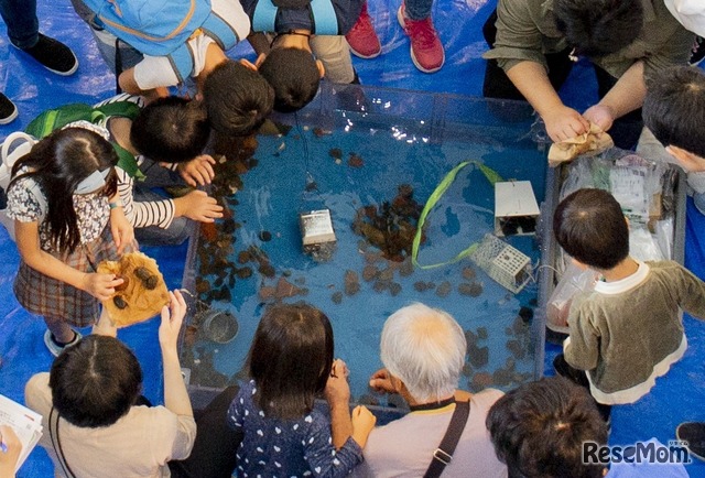 開催プログラム：海の底を調べてみよう