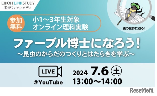 ファーブル博士になろう!～昆虫のからだのつくりとはたらきを学ぶ～