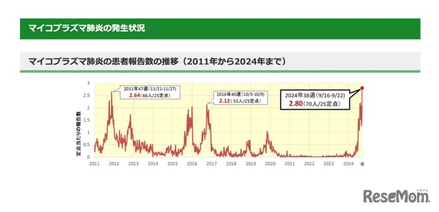 マイコプラズマ肺炎の患者報告数の推移（2011年から2024年まで）