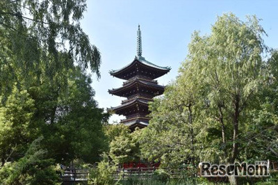 重要文化財　旧寛永寺五重塔