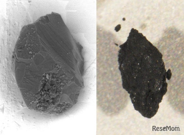 （左）イトカワの粒子、（右）リュウグウの粒子