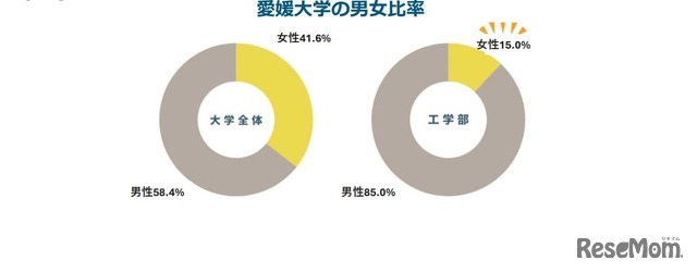 愛媛大学の男女比率