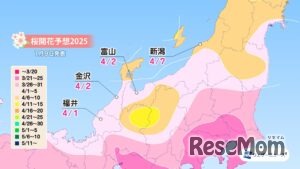 各エリアの桜開花予想・北陸