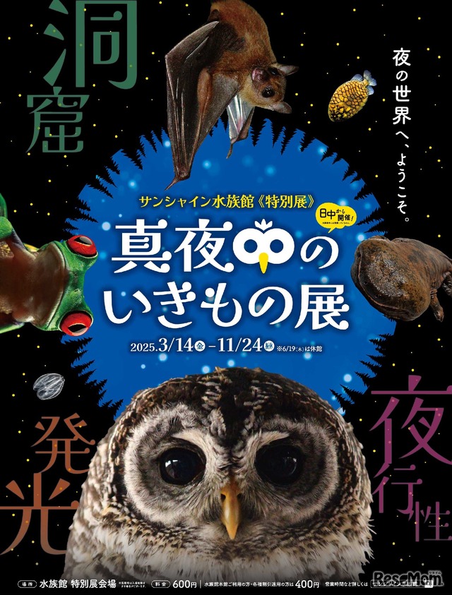 サンシャイン水族館 特別展「真夜中のいきもの展」