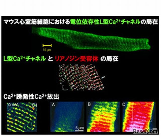 未来の医学「夢」スクール