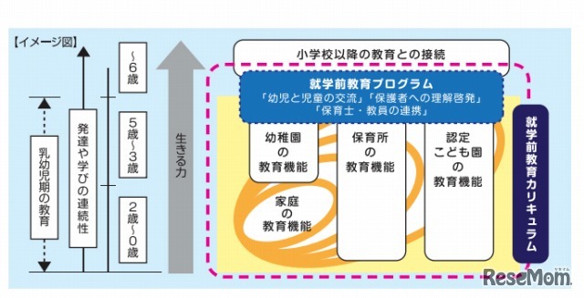 就学前教育プログラムと就学前教育カリキュラムの位置づけ