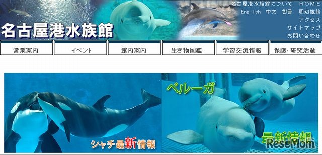 名古屋港水族館