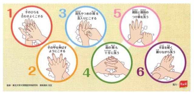 ミューズ 6ステップの手洗い方法（東北大学大学院医学科研究科・賀来満夫氏監修）