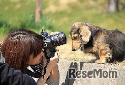 動物の写真撮影体験