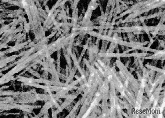 ナノ磁石の電子顕微鏡写真