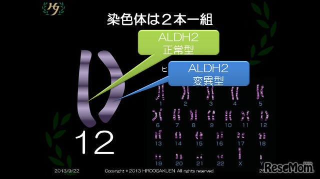 ALDH2遺伝子