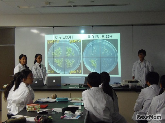 中学生が行うdna鑑定実験 広尾学園がサイエンス教育を通じて伝える学びとは 16枚目の写真 画像 リセマム