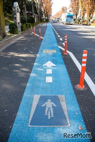 埼大通りの自転車通行帯