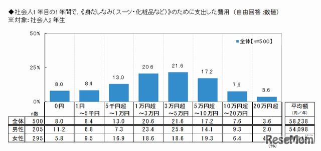 社会人1年目の1年間で仕事のために支出した費用