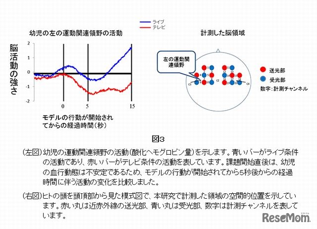 脳活動を計測した結果