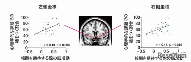 報酬期待に関わる側坐核の反応と、嘘をつく割合との正の相関