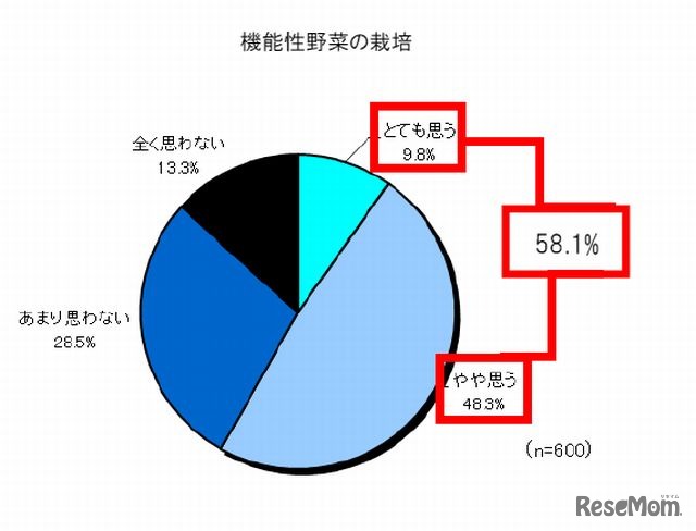 機能性野菜の栽培