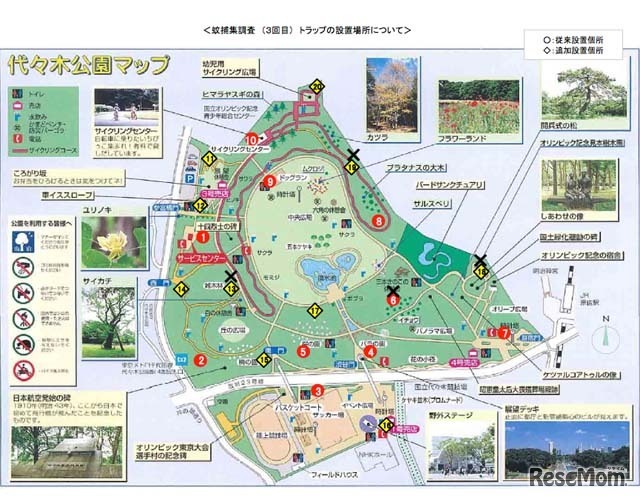 代々木公園内の調査地点