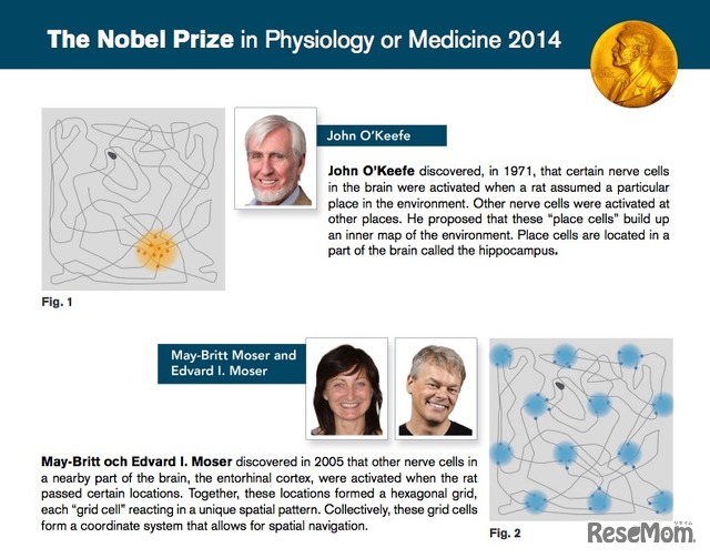 ノーベル生理学 医学賞はノルウェー科学技術大学の夫婦が共同受賞 2枚目の写真 画像 リセマム
