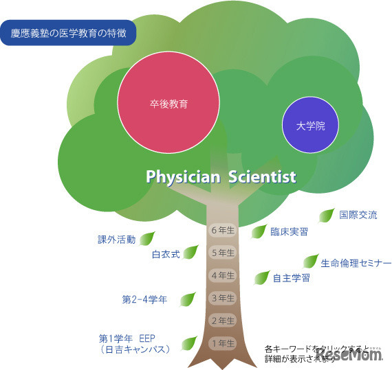慶應義塾の医学教育の特徴