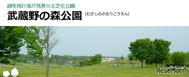 武蔵野の森公園