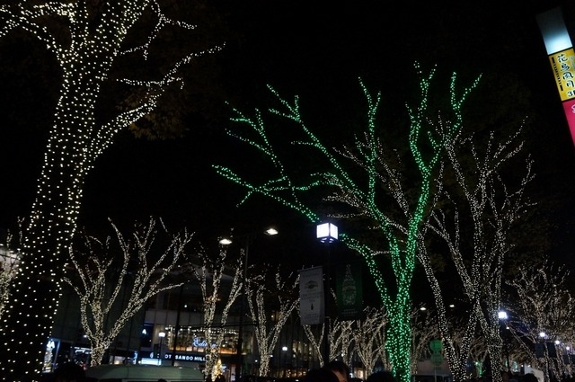 東京・表参道でイルミネーション点灯開始