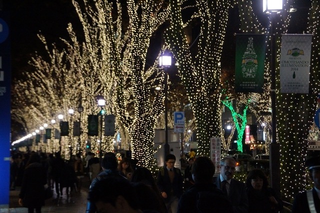 東京・表参道でイルミネーション点灯開始