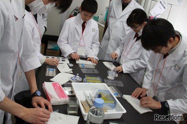 中学生は医進・サイエンスコース高校生の指導のもと、実験を行った