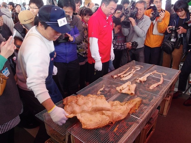 ダイオウイカ試食会