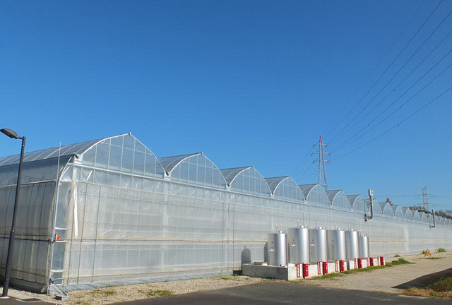 ディズニー パークの野菜農園を自社生産目指す 山梨県 2枚目の写真 画像 リセマム