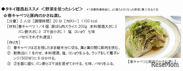 タキイ種苗おすすめ　野菜を使ったレシピ　春キャベツと豚肉のかさね蒸し