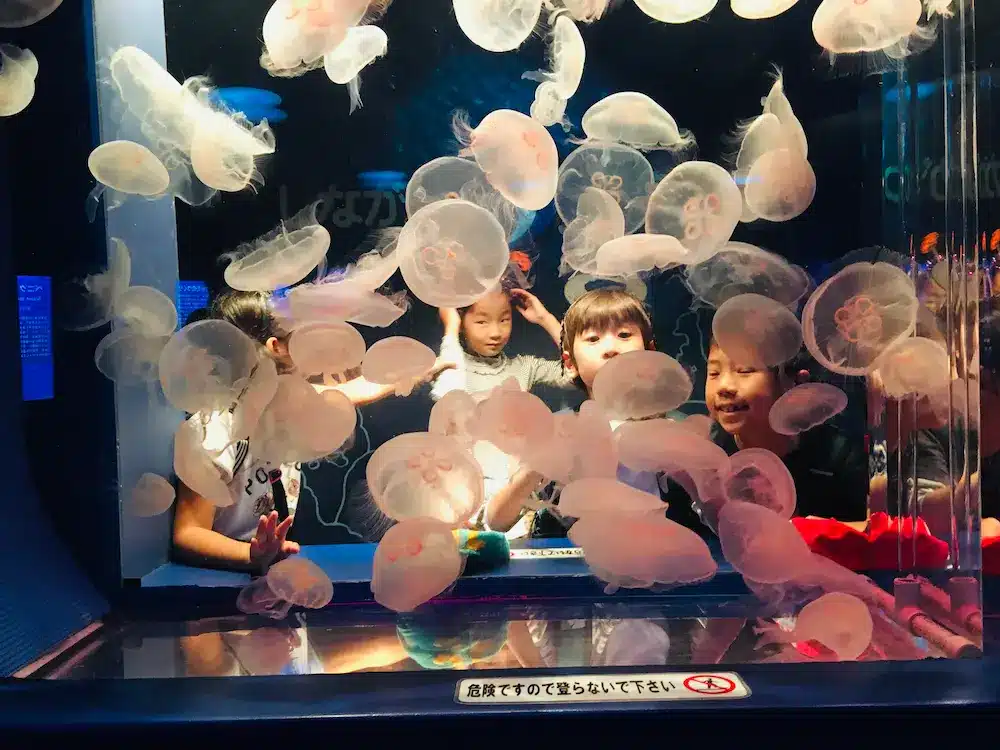 ステモンアフタースクールの遠足風景