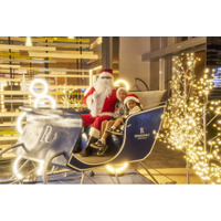 沖縄・恩納村【サンタと一緒に☆記念撮影】高さ13ｍのバブルツリー、イルカのイルミネーション、夢のキャンディハウス etc.