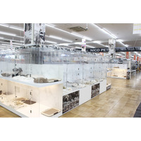 P’s-first春日部店オープンのお知らせ