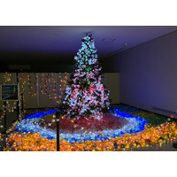 ROKKO i PARKのHappy Holiday Special