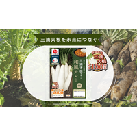 三浦大根を未来につなぐために集まった“石井食品×三浦市×農協”が「三浦大根を使った和風カレー」を12月20日に発売