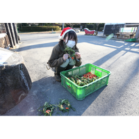 群馬サファリパーク、動物たちと過ごす特別なクリスマス